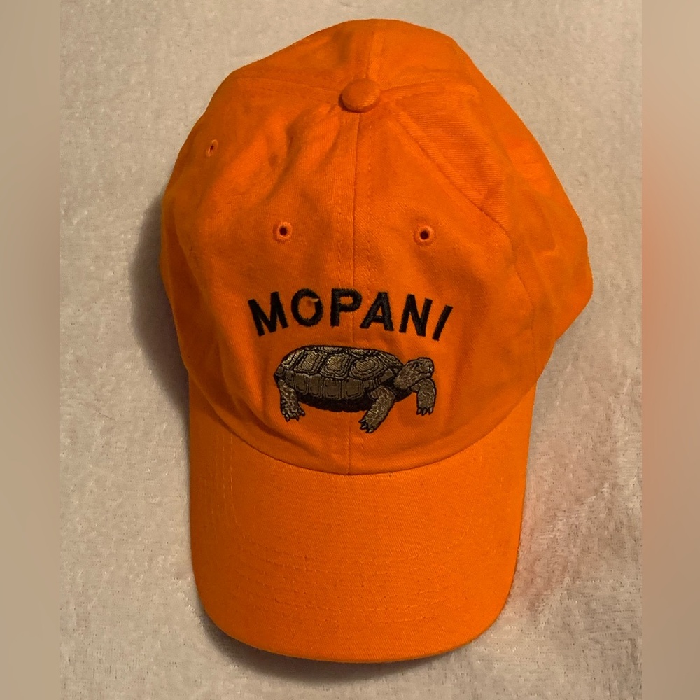 MOPANI Turtle hat